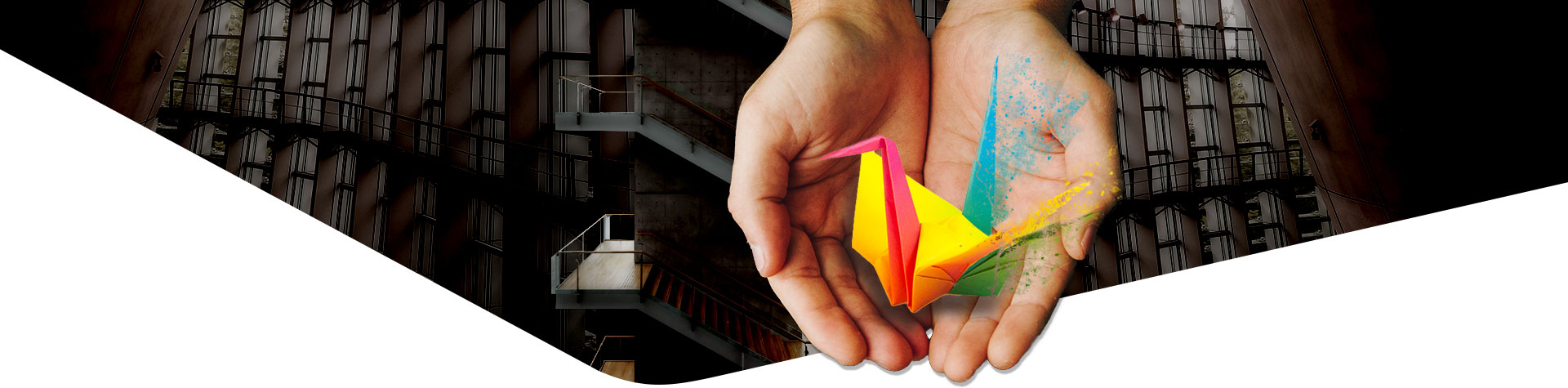 webhosting tojeono.cz